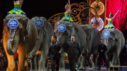 American Circus Ringling Bros Bids Farewell To Its Elephants