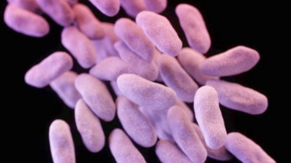 Deadly MCR-1 “Superbug” Now In The US