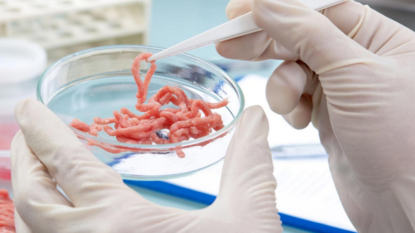 Burger Products Found To Contain Rat and Human DNA