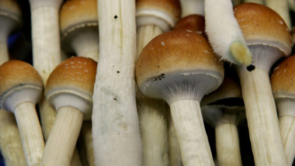 Magic mushroom ingredient may ease severe depression, study suggests