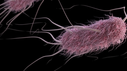 Mutant Superbug Has Been Discovered In The U.S.