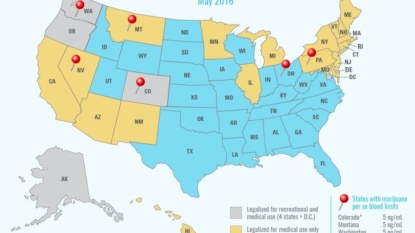 Nevada’s pot testing of drivers should be tossed, AAA study says