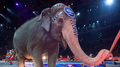 Ringling Brothers and Barnum and Bailey Circus retire their elephants