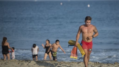 Swimming halted after suspected shark attack