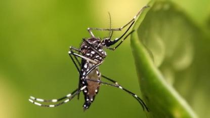 Ohio man who traveled to Caribbean diagnosed with Zika virus