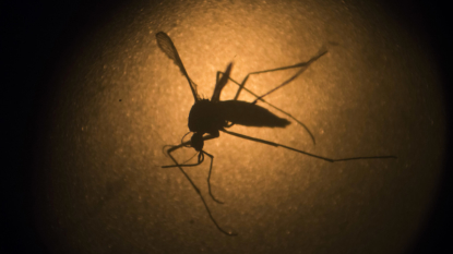 Pitt researcher accidentally infected with Zika after needlestick