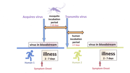 Pittsburgh researcher infected with Zika in lab accident