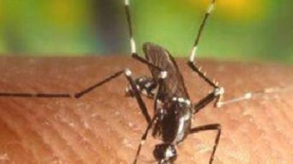 Travel-associated Zika Virus infection has been identified in Lubbock County