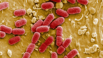 What You Need to Know About New Antibiotic-Resistant Superbug Bacteria