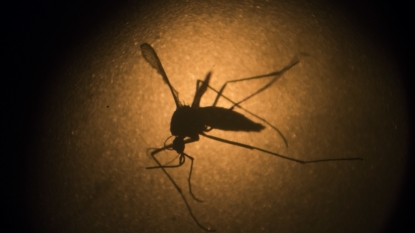 3 recent cases of Zika in San Francisco residents