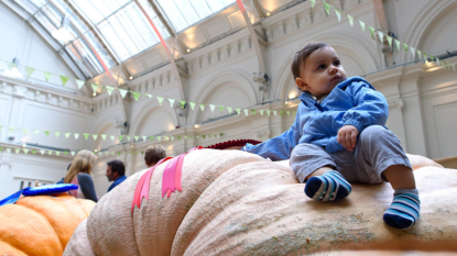 Educating Your Toddler: Background Noise Can Be A Hindrance To Learning