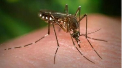 Bucks County gets Zika case No. 1