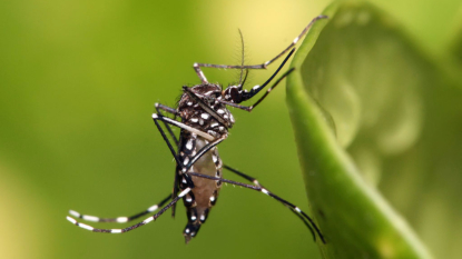 CDC requests help from men who’ve had Zika virus