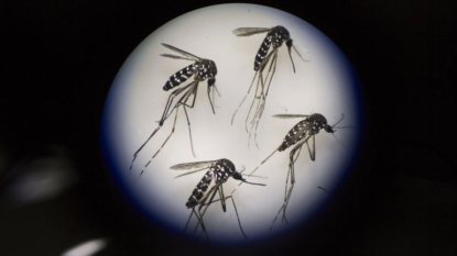 First case of Zika virus transmitted by female through sex