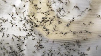 Connecticut to receive $320564 to address Zika virus