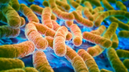 Superbug precursor found in US again