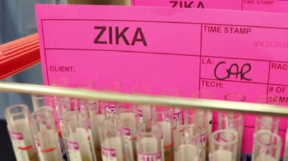 Florida tests more than 200 residents in Zika probe