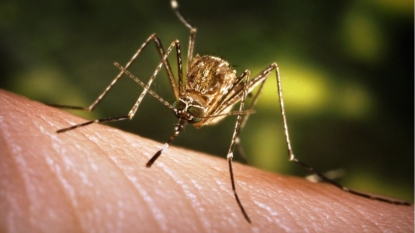 Issues West Nile virus alert