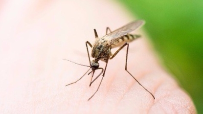 Livingston County resident recovering from West Nile