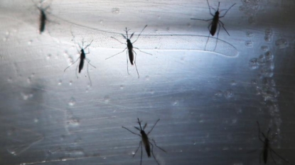 OneBlood to test donations after FDA notice of suspension during Zika investigation