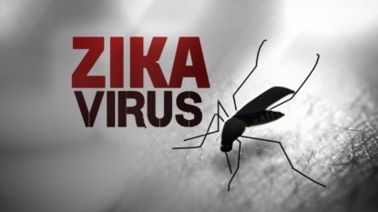 Zika reported on Caribbean island of Saba, CDC issue travel notice