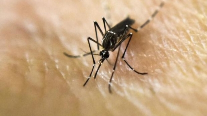 US sees its first Zika-related death