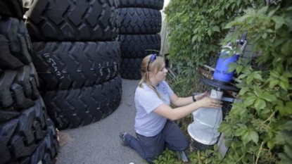 United States probes 2nd possible non-travel related Zika case