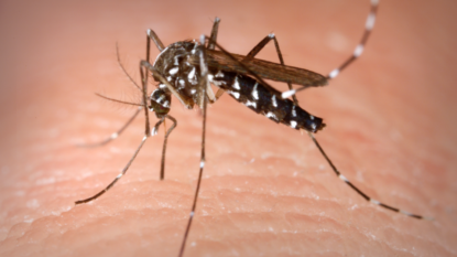 West Nile virus found in Northbrook