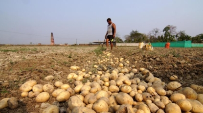 India’s July retail inflation stays above RBI target