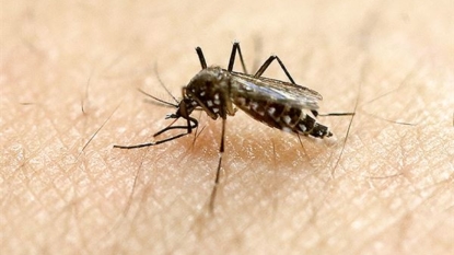 Wyoming sees first Zika case