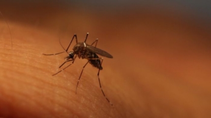 First 2 Zika-related birth defects reported in state