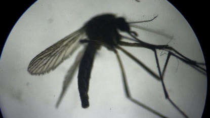 US declares state of emergency in Puerto Rico over Zika