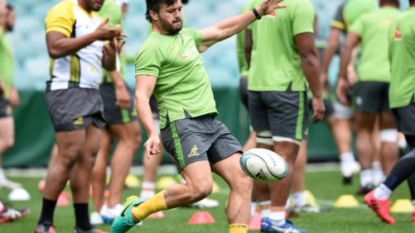 All Blacks expect Wallabies to put up better fight