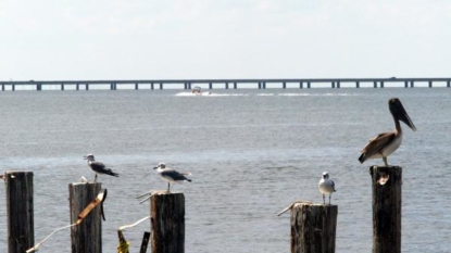 Bodies recovered from Lake Ponchartrain plane crash