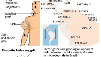 Florida Zika transmission cases rise to 25