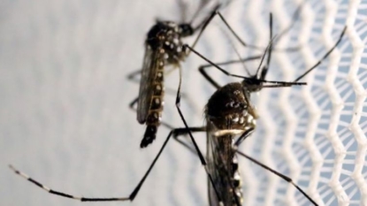 In NYC, 49 pregnant women had Zika, 1 baby born with defect