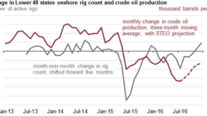 Oil rises after month of steady decline