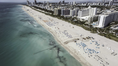 Zika Virus Reportedly Found in Popular Florida Tourist Location