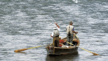 Popular Yellowstone River closes after thousands of fish die