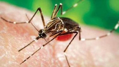 Woman in Williams County has Zika virus