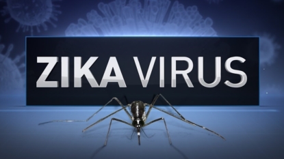 Texas Zika case linked to Miami travel