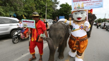 Thais Vote On Controversial New Constitution