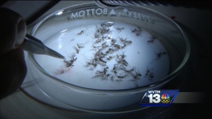 CDC: Aerial Spraying In Zika Fight A Hit Or Miss In Miami