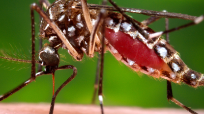 School Districts Focus Efforts on Stopping Zika Spread as Cases Mount