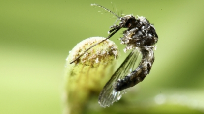 Florida Gov. Rick Scott offers free Zika test kits for pregnant women