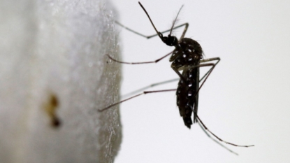 Worried FDA calls for Zika testing of all United States blood donations