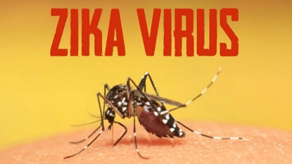 Health officials confirm first case of locally transmitted Zika in Pinellas County