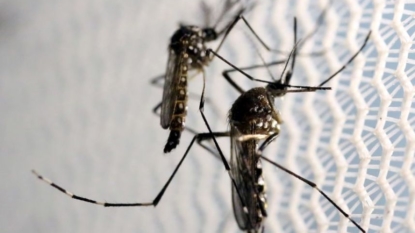 Zika linked to infant’s death in Texas