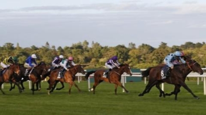 Racing: Almanzor too good for O’Brien fillies in Champion Stakes