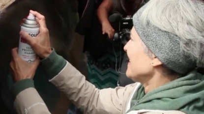 Arrest Warrant Issued for Green Party Candidate Jill Stein